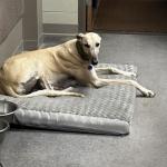 2023OTRA_453 (May 04, 2023)